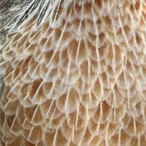 Meet your Posher, Bristol